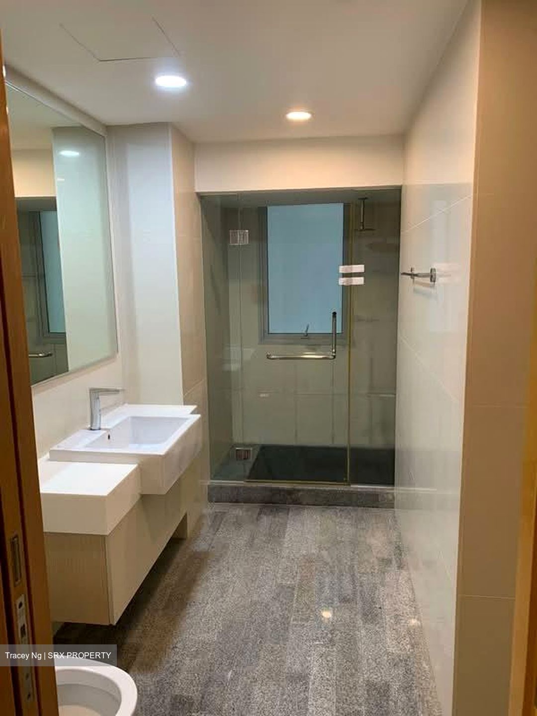 8 @ Mount Sophia (D9), Condominium #585498421